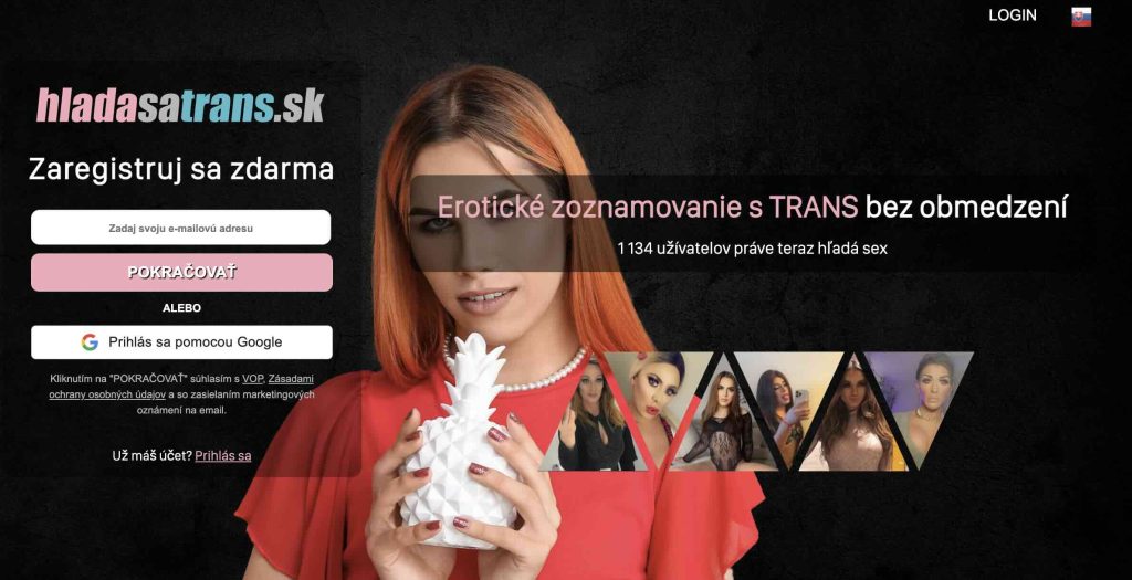 hladasatrans.sk landingpage
